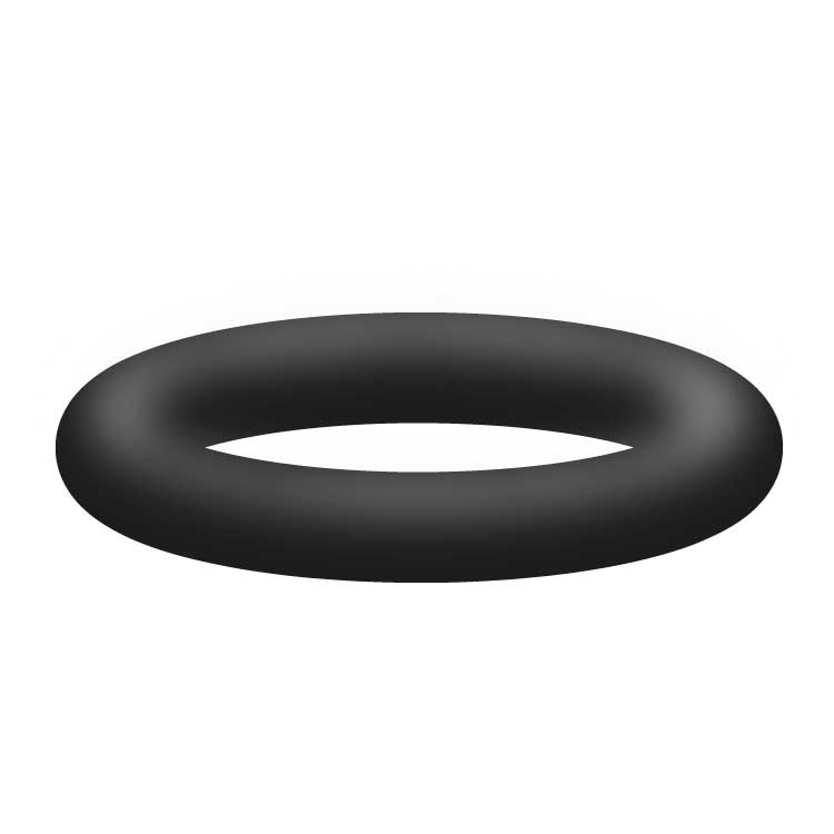 R+M O-Ring – Für Düsenträger EG